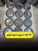 ست سینی سبزی خوری 12عددی استیل